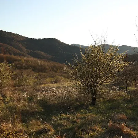 Romantic Vacation In Nature, With 3 Bedroooms Carrosio
